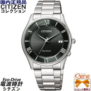 KVi Eh/ی^ CITIZEN COLLECTION PAIR/V`YRNV yAf Y GRhCu \[[ dg XeX Tt@CAKX Vo[×ubN [} AS1060-54E