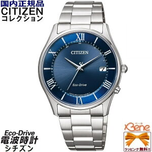 KVi CITIZEN COLLECTION PAIR/V`YRNV yAf Y GRhCu \[[ dg XeX Tt@CAKX t Vo[×lCr[ [} AS1060-54L