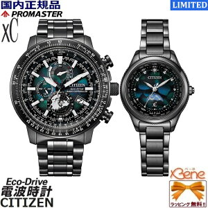 f24-5 KVi CITIZEN/V`Y yAEHb` GRhCu dgv PROMASTER/v}X^[ xC/NXV[ LAYERS of TIME-Ƃ̐ϑw- [h^C _CNgtCg Y fB[X BY3005-