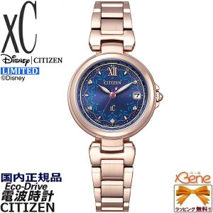 f24-9 萔500{ KVi { fBYj[RNV [Ai] CITIZEN xC/V`Y NXV[ GRhCu fB[X\[[dg Eh/ی^ XeX Tt@CAKX {O