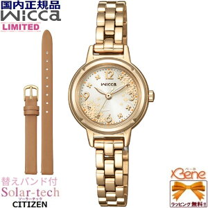 '25-9 KVi [LNZC] 胂f fB[X\[[v Eh/ی^ 3jAiO CITIZEN/V`Y WICCA/EBbJ XeX NX^KX 5Ch EH[S[h AC{