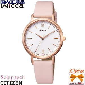 Vi Ki CITIZEN/V`Y WICCA/EBbJ \[[ebN 5Ch fB[X\[[EHb` ی^ XeX v(ECOPETR) 1|Cg_Ch_C sNS[h×s