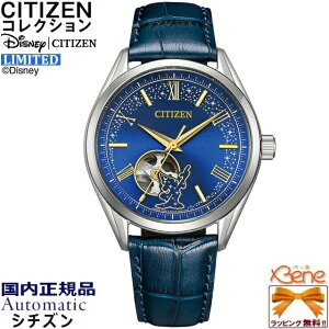'25-9 KVi [fBYj[t@^WA] 萔300{ CITIZEN COLLECTION/V`YRNV JjJ I[g}`bN +芪 XeX Tt@CAKX J[toh Vo