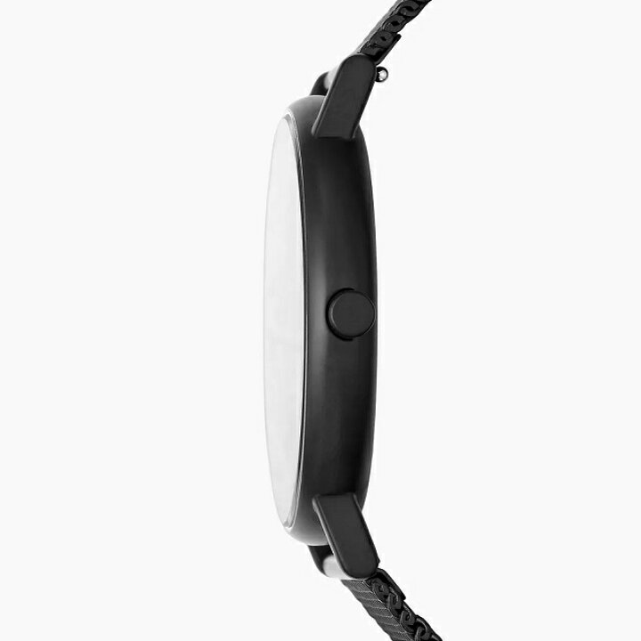 楽天市場】新品・正規品 SKAGEN/スカーゲン SIGNATUR メンズクオーツ 