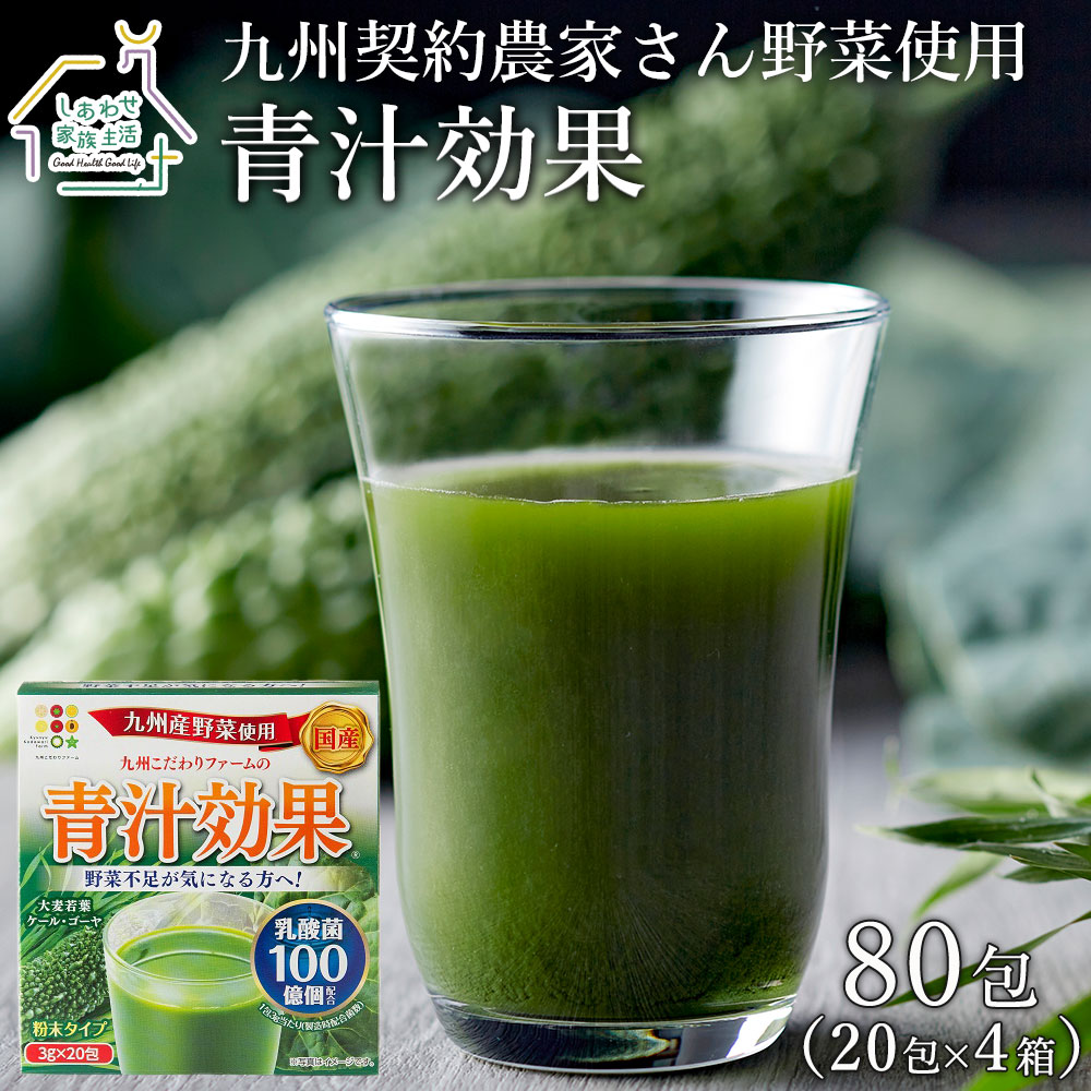 九州産青汁 青汁効果（3g×80包）送料無料 原料はすべて九州産 乳酸菌配合