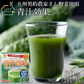 九州産青汁 青汁効果（3g×80包）送料無料 九州 青汁 国産 粉末 個包装 大麦若葉 ケール ゴーヤ 飲みやすい 美味しい おいしい 腸活 美容 乳酸菌 食物繊維 野菜不足 ビタミンC ダイエット サプリメント 健康 サプリ ドリンク お取り寄せ 食品 敬老の日 プレゼント ギフト 孫