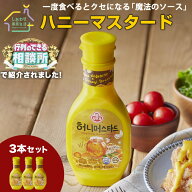 テレビで話題！ ハニーマスタード 256g 3本セット オットギ マスタードソース ドレッシング はちみつ 万…