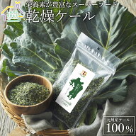 乾燥ケール 100g 九州産ケール100% 国産 乾燥野菜 無添加 送料無料 料理にトッピング 九州こだわりファー…