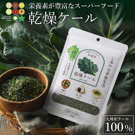 乾燥ケール 100g 九州産ケール100% 国産 乾燥野菜 無添加 送料無料 料理にトッピング 九州こだわりファー…