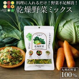 乾燥野菜ミックス 200g 100g×2袋 九州産 国産100% 4種類 送料無料 みそ汁具 無添加 ドライベジタブル 干し野菜 乾燥 キャベツ にんじん 小松菜 ケール カット野菜 長期保存 トッピング スープ おかず プレゼント