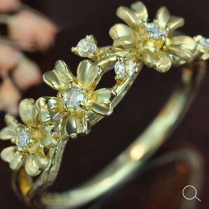 yN[|Cxgz ݑ[YJbg_ChO PT900 K18 K10Ή a 4 yNX}Xzyxmasz ycpbfbz