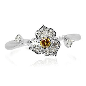 yIׂ10OFF^P10{z ʌ S[f_C [YJbg_ChO tOgfB w PT900 K18 K10Ή K18͂㕾ЂŋIɋLڂ̂zZA