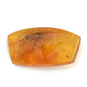 ߁ij3.63ct1萻iI[_[\̃[XgpẴI[_[EZ~I[_[EJX^}CY󂯂ł܂B yNX}Xzyxmasz