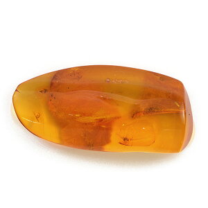 yIׂ10OFF^P10{z ߁ij14.4ct1萻iI[_[\̃[XgpẴI[_[EZ~I[_[EJX^}CY󂯂ł܂B yNX}Xzyxmasz y