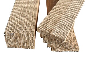 S̓{@˂̒܂Ƃ Kbg Cg ߂Ƃ10+1Zbgi/ؐP[Xlւpj