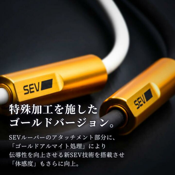 楽天市場】【楽天1位！レビューで延長保証+6ヶ月！】 SEV Looper typeG 