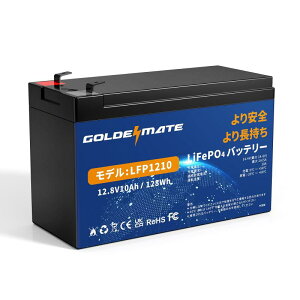 GOLDENMATE 12V LiFePO4 fB[vTCNobe[