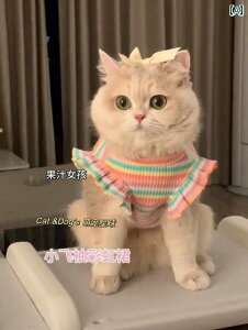 񂿂 ybg 킢 L    xXg ybg  h~ TXy_[ XJ[g pybg hCc 킢 q S[h Of[V