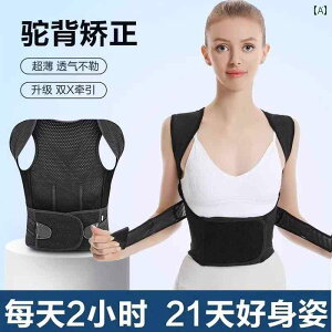 @w@T|[^[ lp  xg zCg fBA  X^C Ȃ  J Lw jp p w A[eBt@Ng