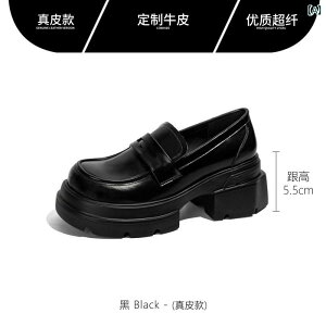 fB[X [t@[ V[Y v FXSO Fangxiang 2025   [t@[ g Abv vC fB[X