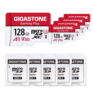 GIGASTONE �}�C�N��sd�J�[�h 256-14-1+CR-2-1 Core Group
