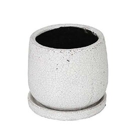 ダルトン(Dulton) 園芸用品 グレイズドポット ラウンド ホワイト