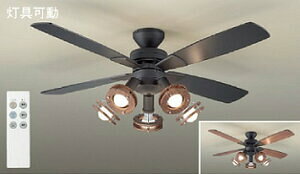 lCid@ (DAIKO) V[Ot@ASL-513  _ yȈՎt^z