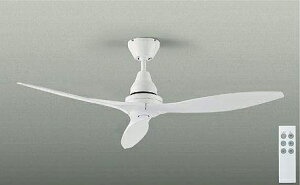 d@ (DAIKO)@DP-41997 V[Ot@ DAIKOyȈՎt^z