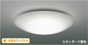 �R�C�Y�~�Ɩ� (KOIZUMI) �V�[�����O���C�g�@�`8��AH52388 ������� ���_�� �y�ȈՎ�t�^�z