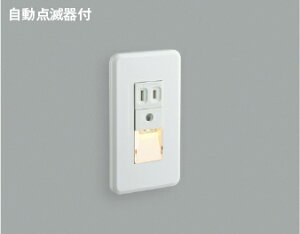 RCY~Ɩ (KOIZUMI) tbgCg ABE545450  _ yHKv^z