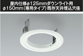 コイズミ照明 (KOIZUMI) リニューアルプレート AE51244E【工事必要型】