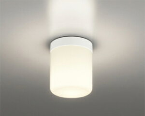 I[fbN (ODELIC) OW269051RG oX[Cg ODELICyHKv^z