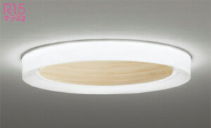 �I�[�f���b�N (ODELIC) OL291662BR �V�[�����O���C�g ODELIC�y�ȈՎ�t�^�z