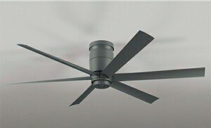 I[fbN (ODELIC) V[Ot@ WF247  _