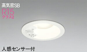 �I�[�f���b�N(ODELIC)�_�E�����C�g(�����F)OD261942R�y�H���K�v�^�z