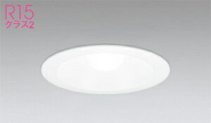 �I�[�f���b�N(ODELIC)�_�E�����C�g(�����F)OD301081NR�y�H���K�v�^�z