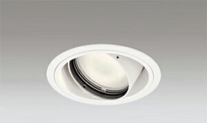 �I�[�f���b�N(ODELIC)�_�E�����C�g(�d���F)�@�d�����u�ʔ�XD402285H�y�H���K�v�^�z