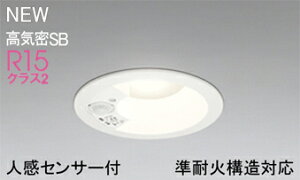 ODELIC(�I�[�f���b�N)OD361649R�_�E�����C�g�y�H���K�v�^�z