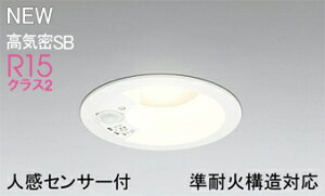 ODELIC(I[fbN)OD361656R_ECgyHKv^z