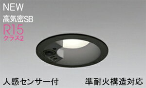 ODELIC(�I�[�f���b�N)OD361670R�G�N�X�e���A���C�g�y�H���K�v�^�z