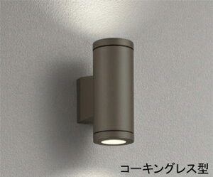 I[fbN (ODELIC) GNXeACg@vʔ OG254388  _ yHKv^z