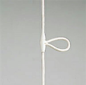 I[fbN (ODELIC) {HiEtp[c OA075015