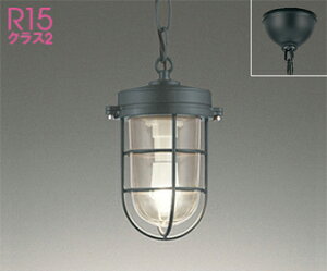 I[fbN (ODELIC) GNXeACg OP252409LR  _ yHKv^z