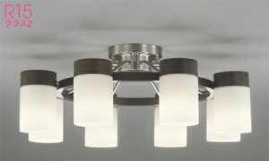 �I�[�f���b�N (ODELIC) �V�����f���A OC257068LR ������� ���_�� �y�ȈՎ�t�^�z