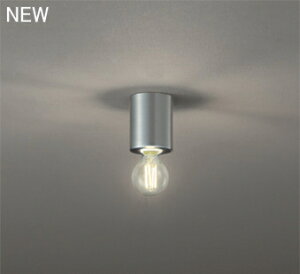 ODELIC(�I�[�f���b�N)OL291691LD���^�V�[�����O���C�g�y�H���K�v�^�z