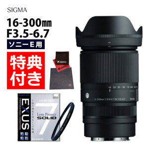 (レビューでレンズキャッププレゼント)【強化ガラス保護フィルターセット】シグマ 16-300mm F3.5-6.7 DC OS(C) ソニーEマウント用(.QL)