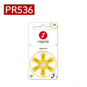 VOjA ⒮pdr Cdr PR536 i10ji[։F10_܂Łji.QLj