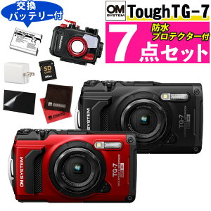 ihveN^[SDNX[d큕tB\obe[ZbgjOM SYSTEM Tough TG-7 fW^J ubN bh h ho ^t\ AEghA _Co[ _CrO Rp