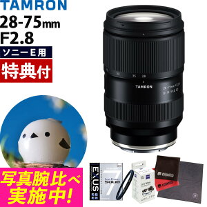 ir[ŃYLbvv[gjyKXیtB^[Zbgz^ 28-75mm F2.8 Di III VXD G2 \j[E}EgpyA063Sz}~ EXUS Lens Protect SOLID aY tTCY 