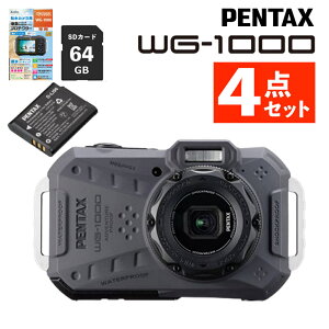 PENTAX WG-1000 �O���[ �f�W�^���J���� �h�� �h�o �ϏՌ� ���R�[ �y���^�b�N�X�i���r���[���T����j�i�\���o�b�e���[�E�t���ی�t�B�����ESD�J�[�h�t�j�i.QL�j